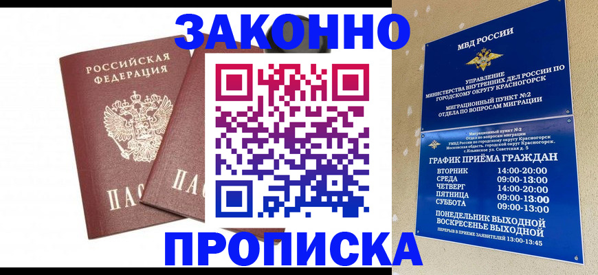 прописка гарантия в Тынде